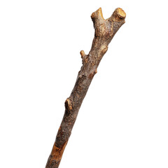 Fototapeta premium Walking stick Isolated on white transparent background