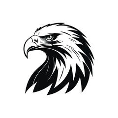 Fototapeta premium detailed high-contrast line art illustration of an eagle's head, bold sharp feathers, piercing predatory eyes, powerful beak, monochrome black and white 