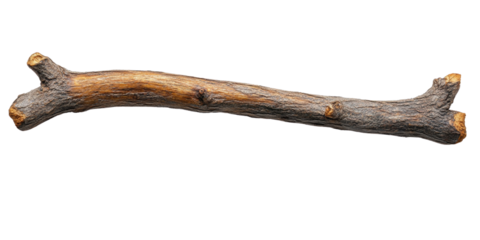 Wooden Stick Isolated on white transparent background