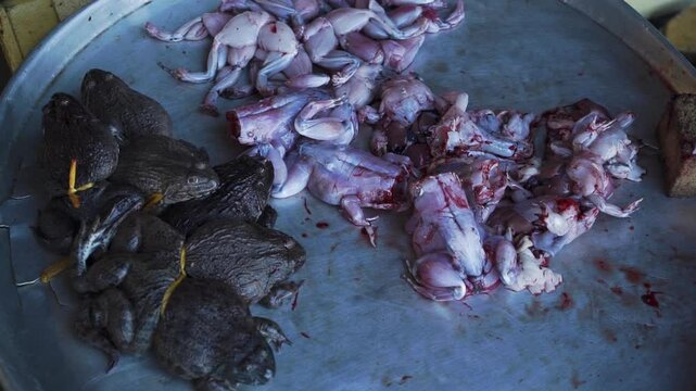 Live toads without heads and skins jump on tray at vietnam fish Vietnam Close-up