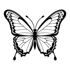 realistic butterfly wing silhouette with fine details and textured vein patterns natural insect wings perfect for biology illustration art projects and decorative logos