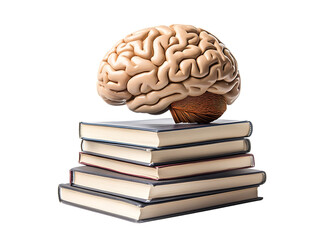 brain and stack of books new idea on png