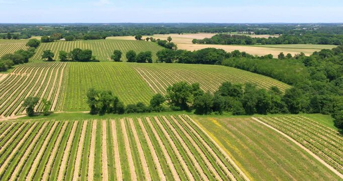 Virage au dessus des vignes