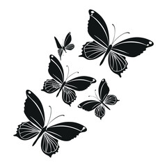 Fototapeta premium Black Butterfly Silhouette Set 