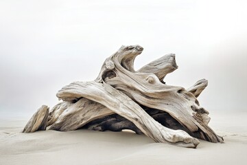 Fototapeta premium Weathered driftwood rests on a sandy beach, bleached by the sun, creating a stark, minimalist, and calming scene.