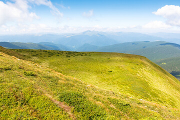 scenic view in to valley. cumulus clouds above horizon. beautiful landscape of carpathian mountains on a bright forenoon in summer. grassy slopes beneath a blue sky. travel chornohora ridge of ukraine