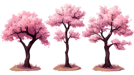 Three pink cherry blossom trees stand gracefully symbolizing renewal and spring set against a on transparent background