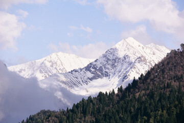 a mountain peak covered with snow in clouds above a coniferous forest