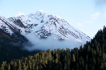 a mountain peak covered with snow in clouds above a coniferous forest