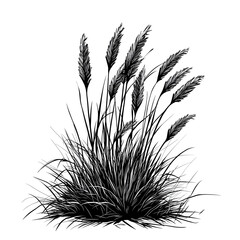 Fototapeta premium Detailed Black and White Grass Cartoon Vector for Professional Illustration Projects