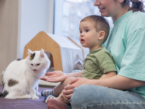 Caucasian little boy with mother in cat cafe. 