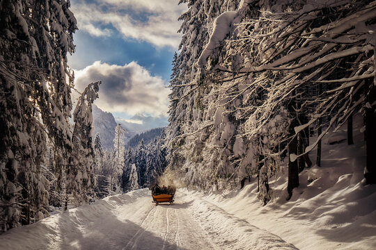 Kulig na Morskie Oko, Polska
Horse Sleigh Ride to Morskie Oko, Poland