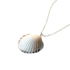 Trendy Minimalist Shell Necklace with One Perfectly Isolated on Transparent Background
