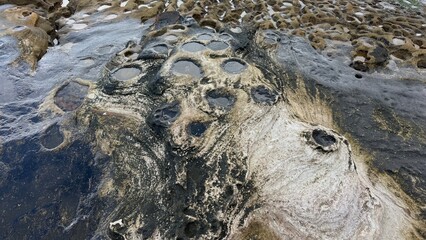 Close-up of cracked, textured surface resembling dried mud or stone. Natural pattern for abstract backgrounds, geology, nature textures, or design elements.