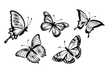 Black Butterfly Silhouette Set 