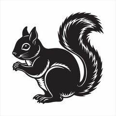Obraz premium eastern gray squirrel vector silhouette