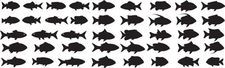 Black and white fish silhouette collection vector illustration aquarium fish shapes set ocean life icons 100