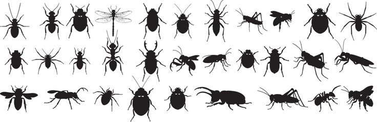 Insect silhouettes vector collection of various bugs beetles ants spiders and more vector design 100