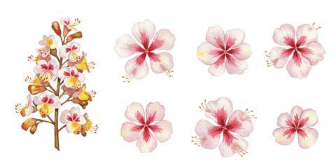 Fototapeta premium Adobe Illustrator Artwork