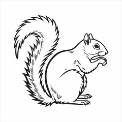eastern gray squirrel vector silhouette