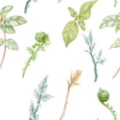 Seamless pattern of honeysuckle, fern, pedilanthus branches. Hand-drawn watercolor illustration on white background. Floral pattern for printing on fabric, clothes, wallpapers, wrap paper package, etc
