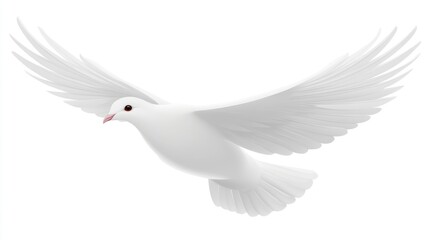 Obraz premium Serene white dove soaring gracefully against a pristine backdrop in flight