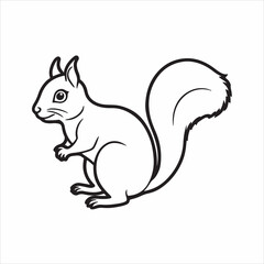Fototapeta premium eastern gray squirrel vector silhouette