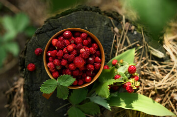 aromatic forest strawberries in a bowl close-up