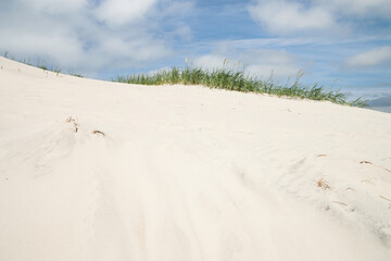 dune landscape in denmark