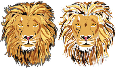Loin vector illustration. Brushstoke loin art