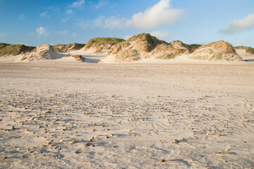 dune landscape in the evening light