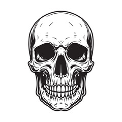 Fototapeta premium Hand drawn human skull on white background. Design element for poster