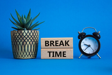 Break Time symbol. Wooden blocks with words Break Time. Beautiful blue background with alarm clock and succulent plant. Business and Break Time concept. Copy space.