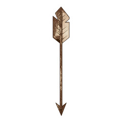 Bold Arrow with Rugged Distinctive Edges in Forest Isolated on Transparent Background