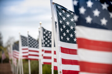 US flag blowing in the wind