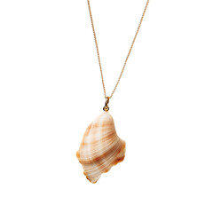 Bold Minimalist Shell Necklace with One Striking Or Isolated on Transparent Background