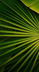 Emerald Palm Frond: Nature's Radiance