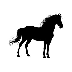 black horse head photo. standing horse silhouette vector photo jpg png image, black horse .
