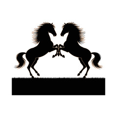 two black horse stand face to face. riding horse  couple horse . 