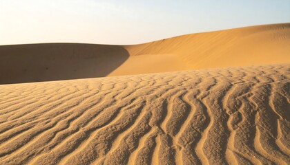 Golden sands and shadow in vast, undulating desert landscapes