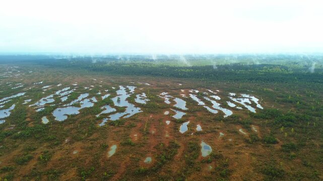Ķemeru dabas taka landscape with fog