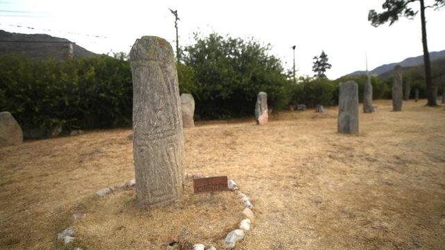 The Los Menhires archaeological reserve is located in the town of El Mollar, Tafi del Valle department, Tucuman province. Granite stones carved and transported 2,000 years ago by its inhabitants of th