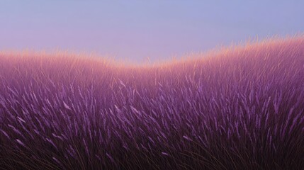 Close-up of a field of tall, purple grass. the grass is swaying in the wind, creating a sense of movement and energy. the sky is a deep blue, with a few wispy clouds scattered across it.