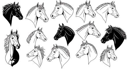 Naklejka premium Equine Elegance: A Monochrome Study