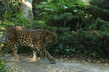 A photo of Rotterdam Zoo in the Netherlands.