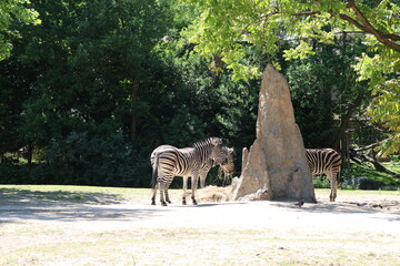 A photo of Rotterdam Zoo in the Netherlands.