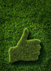 World Environment Day