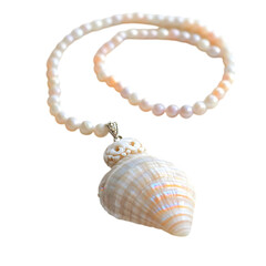 Elegant Bohemian Shell Necklace with a Delicate Arr Isolated on Transparent Background