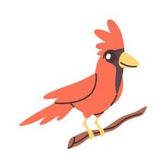 Red parrot bird hand drawn