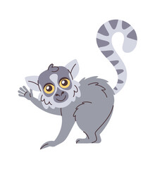 Ring-tailed lemur hand drawn animal